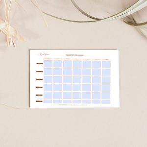 REGISTRO SEMANAL